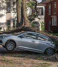 A large tree lies across the 400 block of Allen Avenue near Monument Avenue on May 18 after being brought down by weekend storms. The tree appeared to have missed nearby houses
but crushed a car.