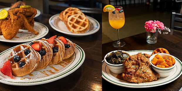 Taste Kitchen+Bar Group