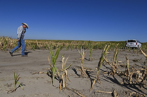 Cattle rancher Brad Randel walks through his drought-stricken cornfield in September 2022 in McCook, Nebraska.
Mandatory Credit:	Ricky Carioti/The Washington Post/Getty Images via CNN Newsource