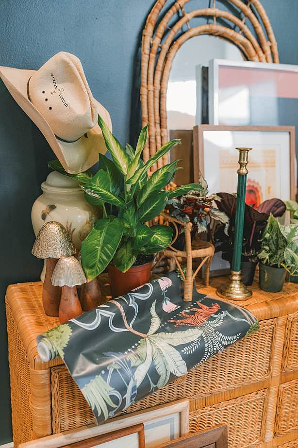 The Plant Project’s new Botanical Boutique at M-K-T Heights offers a vast selection of lush plants and greenery, with expert plant care tips, instructions, and educational workshops./Photography By Rachel Black