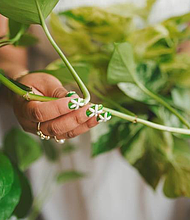 The Plant Project’s new M-K-T Heights location will continue to serve as a hub for creative workshops and new experiences aimed at bringing people together, growing the community, and inspiring plant and nature lovers of all ages and backgrounds./Photography By Rachel Black