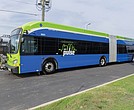 GRTC will roll out new 60-foot articulated buses to the public July 8 during its “TAP into Transit Day.”