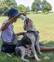 Lakea Lawrence offers her dog Tha Carter water while cooling off in the shade near Brown’s Island on Tuesday, June 24, as temperatures neared 100 degrees.