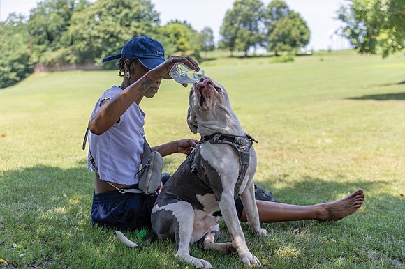 An intense heat wave has gripped the Richmond region since temperatures began climbing late last Friday, with daily highs in … An intense heat wave has gripped the Richmond region since temperatures began climbing late last Friday, with daily highs in …