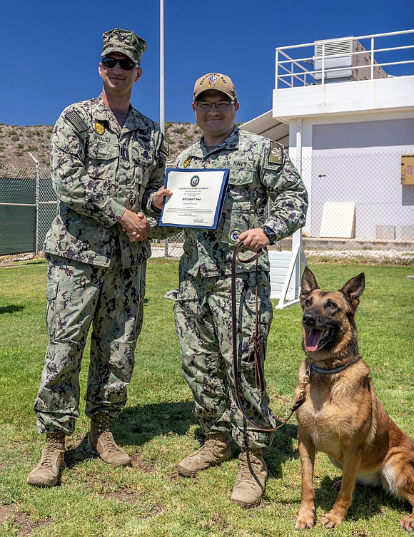 In a powerful testament to duty, honor, and resilience, Master-at-Arms 2nd Class (MA2) Kelton Wood proudly reenlisted into the United …