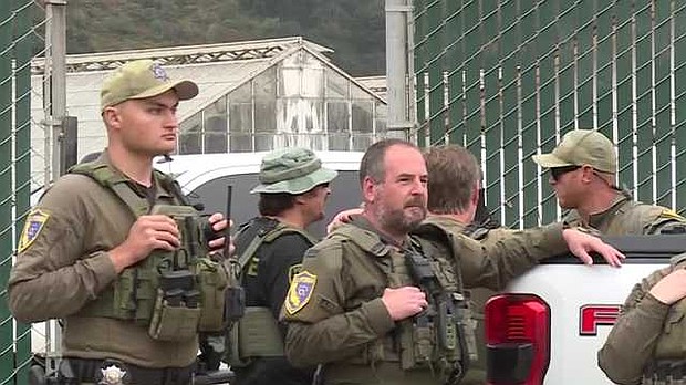 Approximately 70 local, state, and federal agents raided the farm, emptying large containers of marijuana.
Mandatory Credit:	KSBW via CNN Newsource