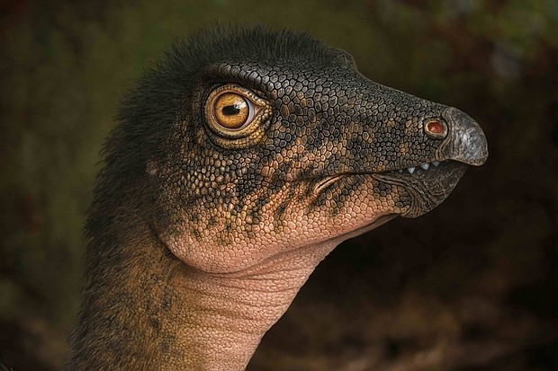 An image of Thescelosaurus, a ornithopod dinosaur with vertebrae similar to the one found in the rock core.
Mandatory Credit:	Andrey Atuchin/Denver Museum of Nature & Science via CNN Newsource