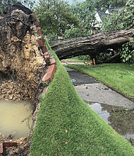 A tree fell between houses crushing a vehicle during a July storm in the Bryan Park neighborhood.
