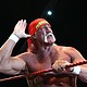 Hulk Hogan gestures to the audience during his Hulkamania Tour in 2009.
Mandatory Credit:	Paul Kane/Getty Images via CNN Newsource
