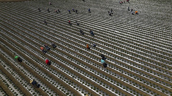 President Donald Trump has promised to unleash an economic boom that will turbocharge growth, fatten paychecks and chip away at …