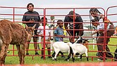 Zymeir Parker, 5, left, Tamika and James Wilson Jr. with their 5-year-old son, James Wilson III, center, and Jazmin Woodson with her 1-year-old daughter, Navy Woodson, right, interact with farm animals at the petting zoo.