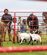 Zymeir Parker, 5, left, Tamika and James Wilson Jr. with their 5-year-old son, James Wilson III, center, and Jazmin Woodson with her 1-year-old daughter, Navy Woodson, right, interact with farm animals at the petting zoo.