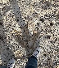 A photo of the three-clawed footprint shows it is a bit bigger than a human foot.
Mandatory Credit:	Courtesy Carl Stover via CNN Newsource