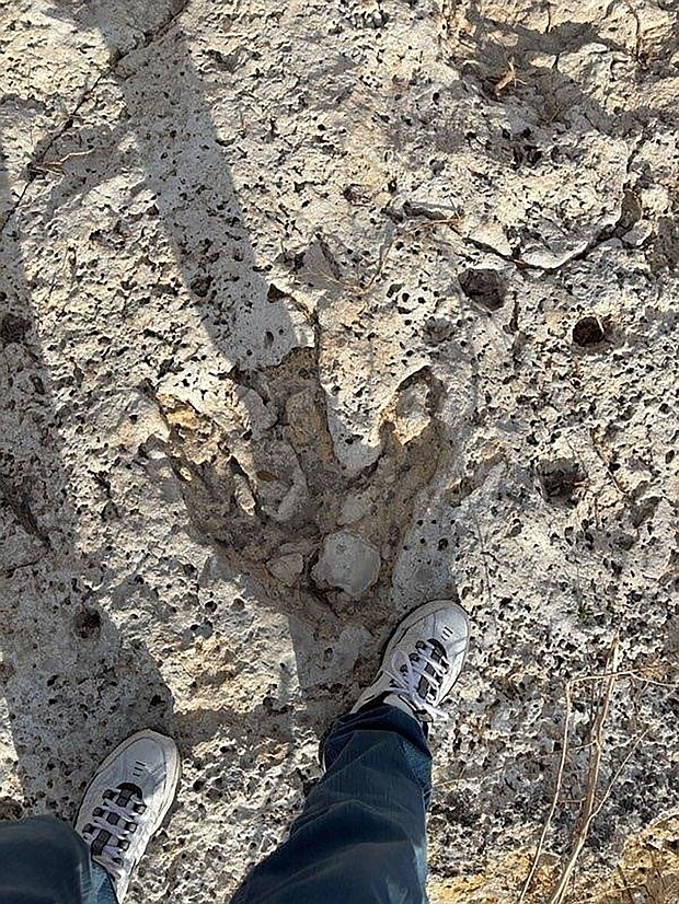 A photo of the three-clawed footprint shows it is a bit bigger than a human foot.
Mandatory Credit:	Courtesy Carl Stover via CNN Newsource