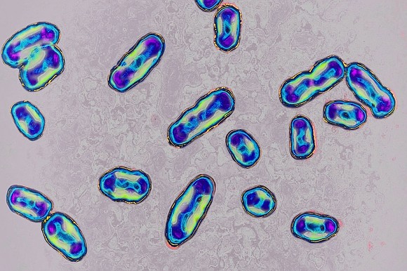 You didn’t want to wait, and now you won’t have to any longer. The cast of “Dawson’s Creek” – James …