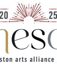 HAA Gala Luminance logo