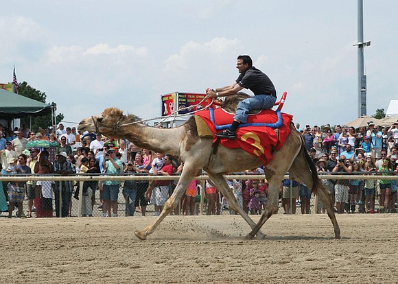 Colonial Downs closed its 2025 thoroughbred racing season Sept. 13 with record numbers and a first-ever Kentucky Derby qualifying race.