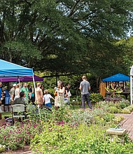 Native Arts Shine at Lewis Ginter-The inaugural Kennanee Native Arts Festival brought Indigenous art, culture and community to Lewis Ginter Botanical Garden on Sunday. Created with the Virginia Native Arts Alliance and Indigenous voices from across the East Coast, the festival featured music, storytelling, crafts, seed-saving, short films, a live Shinny game and an arts market. Visitors browse the arts market featuring music, storytelling and Indigenous crafts at the festival. Visitors browse the arts market featuring music, storytelling and Indigenous crafts at the festival. (Sandra Sellars/Richmond Free Press)