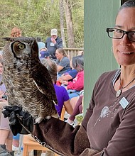 Wild Birds - Mary Anne Morris