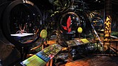 Diorama of the Chocó–Darién rainforest at the Science Museum of Virginia, part of the touring exhibition “The Power of Poison,” which explores the natural and mythical world of venom and poison.