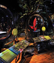 Diorama of the Chocó–Darién rainforest at the Science Museum of Virginia, part of the touring exhibition “The Power of Poison,” which explores the natural and mythical world of venom and poison.