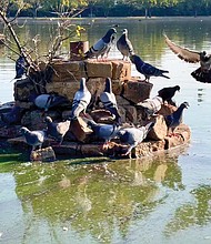 Pigeon Island at Fountain Lake in Byrd Park (Julianne Tripp Hillian/Richmond Free Press)