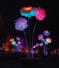Lights and color transform Maymont for Garden Glow-Garden Glow has returned to Maymont’s gardens nightly, through Nov. 9.  The light sculpture installations at Garden Glow were created by U.K.-based Culture Creative in collaboration with French art studios Tilt and Pitaya. Richmond-based Lighting & Sound Co. worked with Maymont staff on the experience. Right, after dark, Maymont transforms into an enchanted landscape with soft colors and special lighting effects. The annual event features mesmerizing light installations by international artists — some paired with coordinated soundscapes and music — along with the activity filled Glow Village, food and drinks.  Proceeds support the care of Maymont’s gardens, resident animals and historic mansion. See maymont.org for details. (Julianne Tripp Hillian/Richmond Free Press)