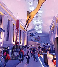 Tricks, treats and togetherness-Families flocked to the Science Museum of Virginia on Halloween for U.S. Rep. Jennifer McClellan’s annual Community Harvest Festival. The museum opened several exhibits
and experiences for children to enjoy
throughout the event. The event, held Friday evening, offered Richmond-area children a safe space to trick-or-treat, enjoy museum exhibits and connect with community resources. Guests explored hands-on experiences in the museum’s Speed, Boost and The Power of Poison exhibits, along with its Animal, Art and Eco Labs. Halloween laser shows and live science demos added to the night’s festivities. (Julianne Tripp Hillian/Richmond Free Press)