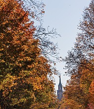 Fall color on Monument Avenue (Julianne Tripp Hillian/Richmond Free Press)