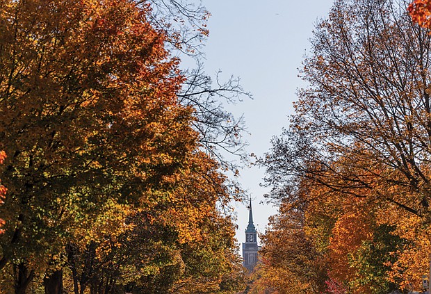 Fall color on Monument Avenue (Julianne Tripp Hillian/Richmond Free Press)