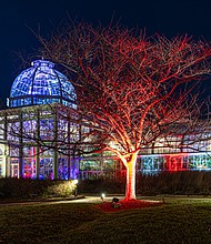 Lights illuminate the grounds at Lewis Ginter Botanical Garden during the Dominion Energy GardenFest of Lights.