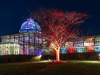 Lights illuminate the grounds at Lewis Ginter Botanical Garden during the Dominion Energy GardenFest of Lights.