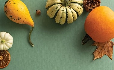 In observance of Thanksgiving Day, please note the following closings: