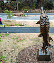 Cityscape Slices of life and scenes in Richmond-A runner passes David H. Turner’s “Atlantic Sturgeon” sculpture outside the James A. Buzzard
River Education Center at Dock Street Park along the Virginia Capital Trail. The sculpture celebrates the return of the Atlantic sturgeon to the James River and highlights the James River Association’s efforts to restore the river, reconnect the community to its waterfront and promote
environmental education. (photo by Sandra Sellars/Richmond Free Press)