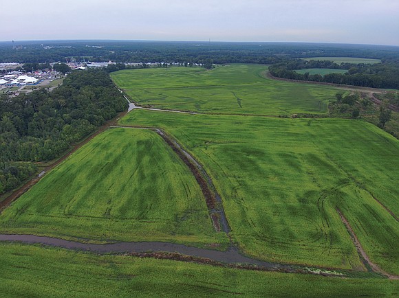 Nearly 350 acres of farmland where Triple Crown champion Secretariat once roamed as a colt will remain permanently protected, preserving …