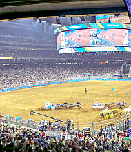Houston Livestock Show and Rodeo