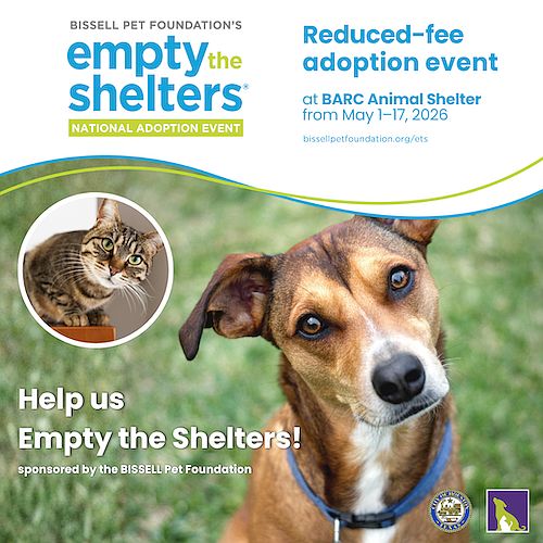BARC Animal Shelter in Houston is participating in BISSELL Pet Foundation’s Empty the Shelters event from May 1–17, offering reduced …