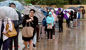 Burt Levine Voting Rain On West Grey