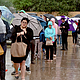 Burt Levine Voting Rain On West Grey