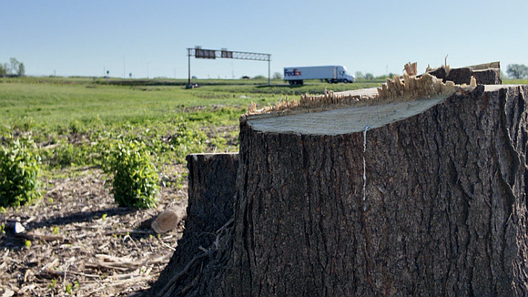 As Kansas City prepares for the 2026 World Cup, state crews are removing invasive trees and overgrowth along highways—a $2.6 …