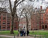 Tease photo