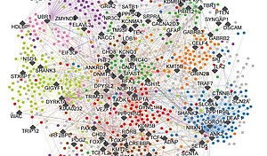 Autism treatment map