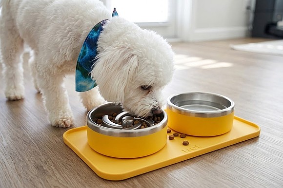A stylish, travel-friendly feeding solution designed for pet parents who want less mess and more convenience.