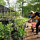 Houston Arboretum Fall Plant Sale