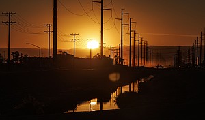 AI environmental threat