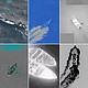 US military boat strikes