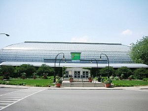 Lead photo