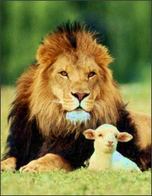 March - Roaring Lion or Gentle Lamb? | Houston Style